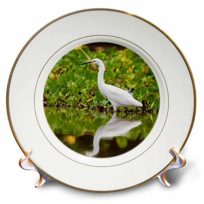 image of 8 inch Porcelain Plate