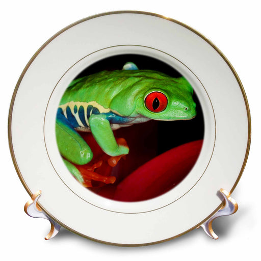 image of 8 inch Porcelain Plate