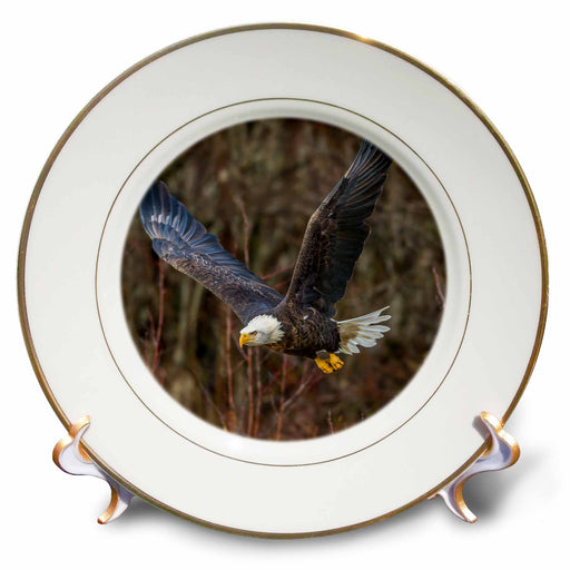 image of 8 inch Porcelain Plate