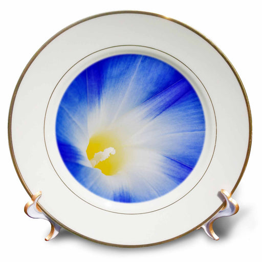 image of 8 inch Porcelain Plate