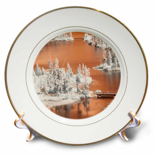 image of 8 inch Porcelain Plate