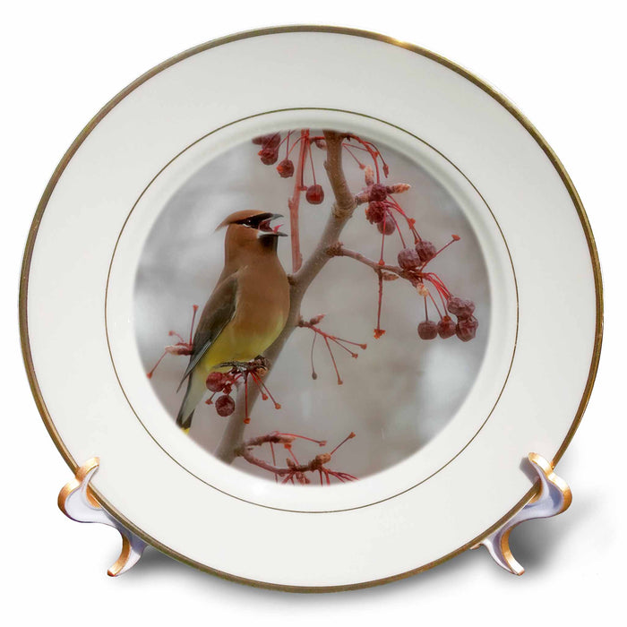 image of 8 inch Porcelain Plate