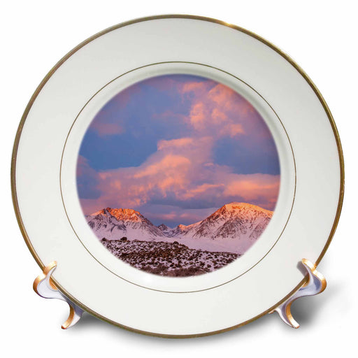 image of 8 inch Porcelain Plate