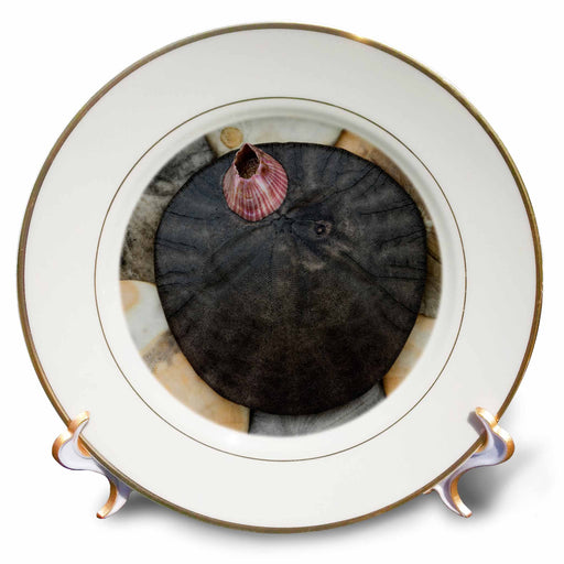 image of 8 inch Porcelain Plate