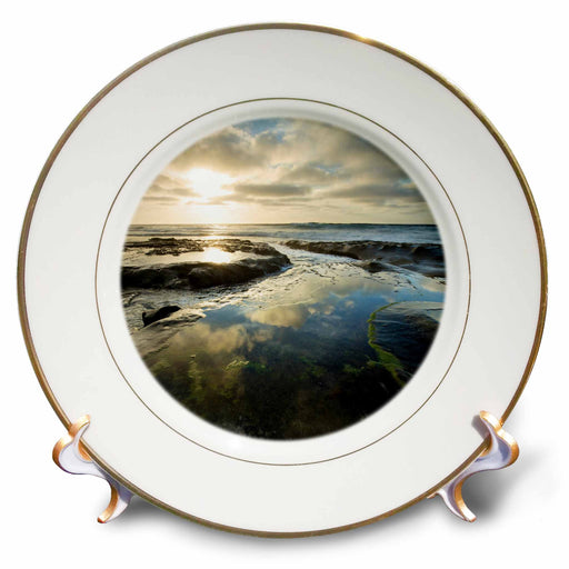 image of 8 inch Porcelain Plate