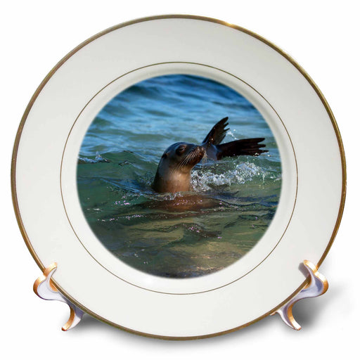 image of 8 inch Porcelain Plate