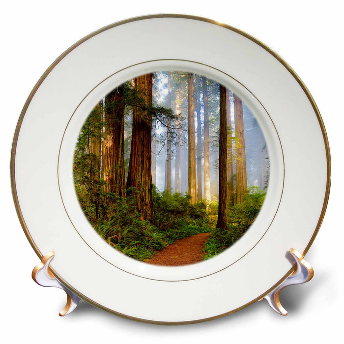 image of 8 inch Porcelain Plate