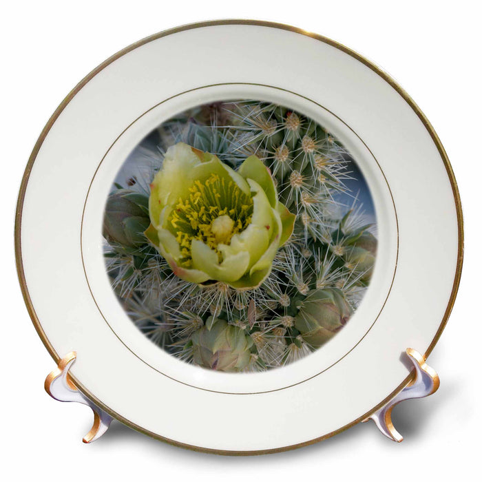 image of 8 inch Porcelain Plate