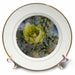 image of 8 inch Porcelain Plate