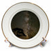 image of 8 inch Porcelain Plate