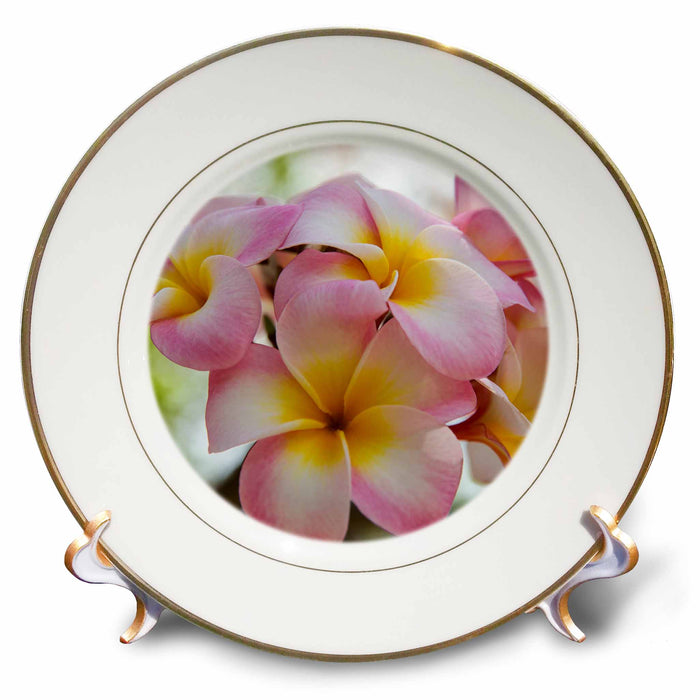 image of 8 inch Porcelain Plate