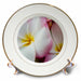 image of 8 inch Porcelain Plate