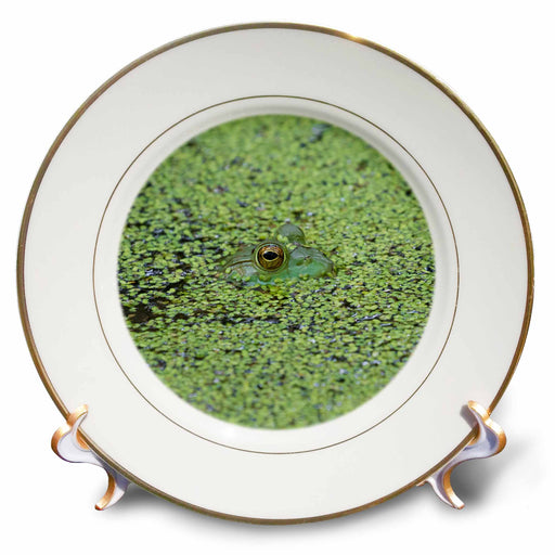 image of 8 inch Porcelain Plate