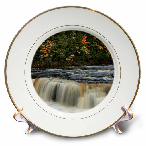 image of 8 inch Porcelain Plate