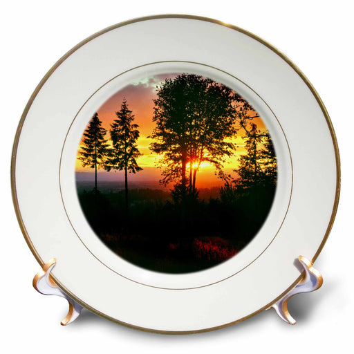 image of 8 inch Porcelain Plate