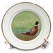 image of 8 inch Porcelain Plate