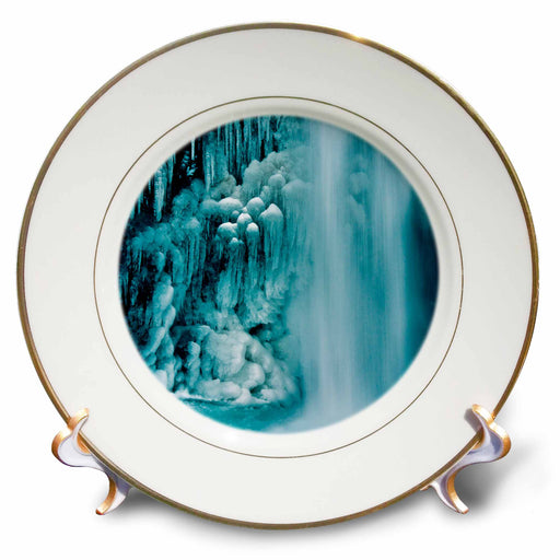 image of 8 inch Porcelain Plate