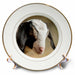 image of 8 inch Porcelain Plate