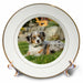 image of 8 inch Porcelain Plate