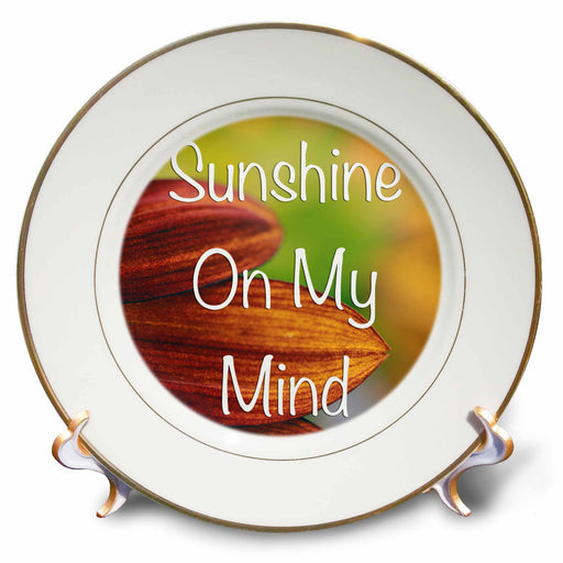 image of 8 inch Porcelain Plate