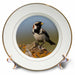 image of 8 inch Porcelain Plate