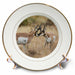 image of 8 inch Porcelain Plate