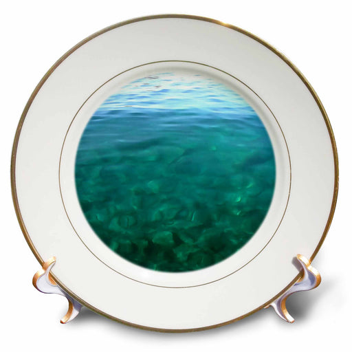 image of 8 inch Porcelain Plate