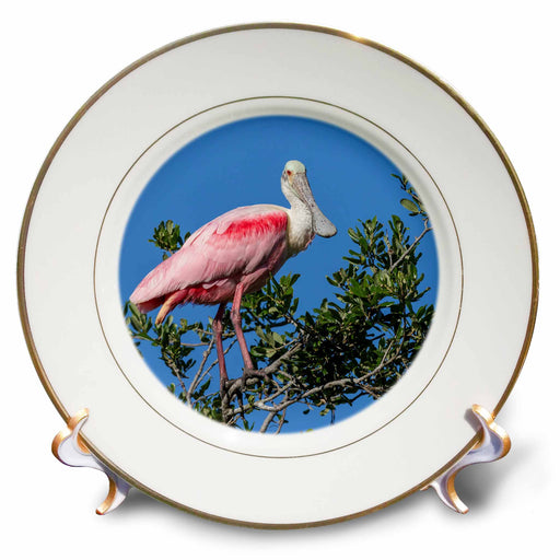 image of 8 inch Porcelain Plate