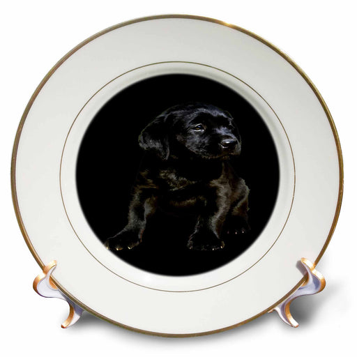 image of 8 inch Porcelain Plate