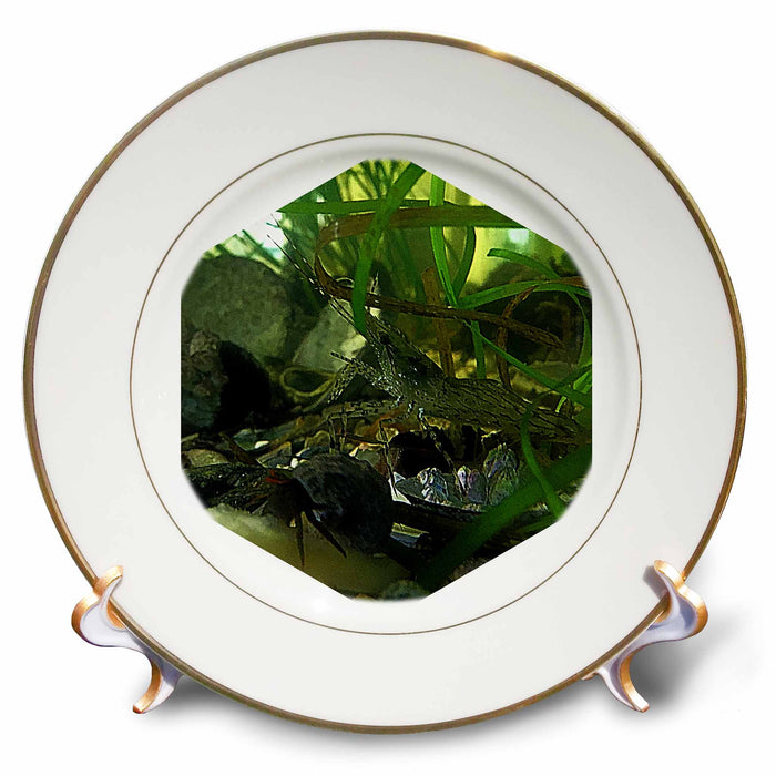 image of 8 inch Porcelain Plate