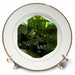 image of 8 inch Porcelain Plate