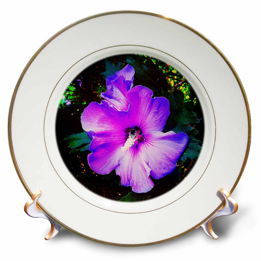 image of 8 inch Porcelain Plate