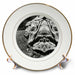 image of 8 inch Porcelain Plate