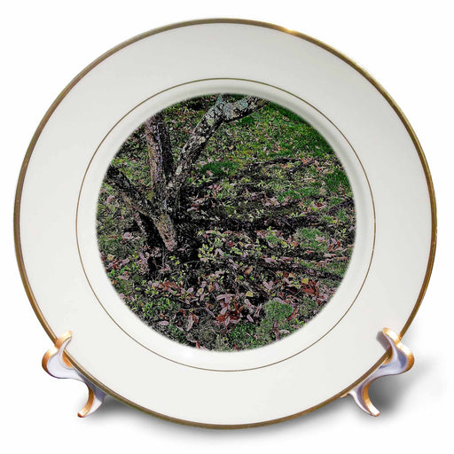 image of 8 inch Porcelain Plate