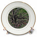 image of 8 inch Porcelain Plate