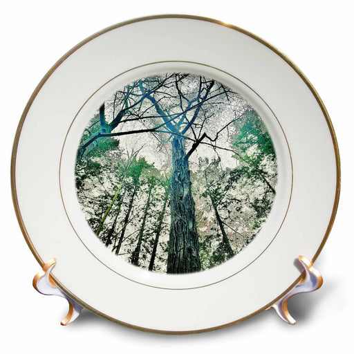 image of 8 inch Porcelain Plate