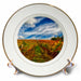 image of 8 inch Porcelain Plate