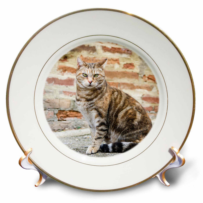 image of 8 inch Porcelain Plate