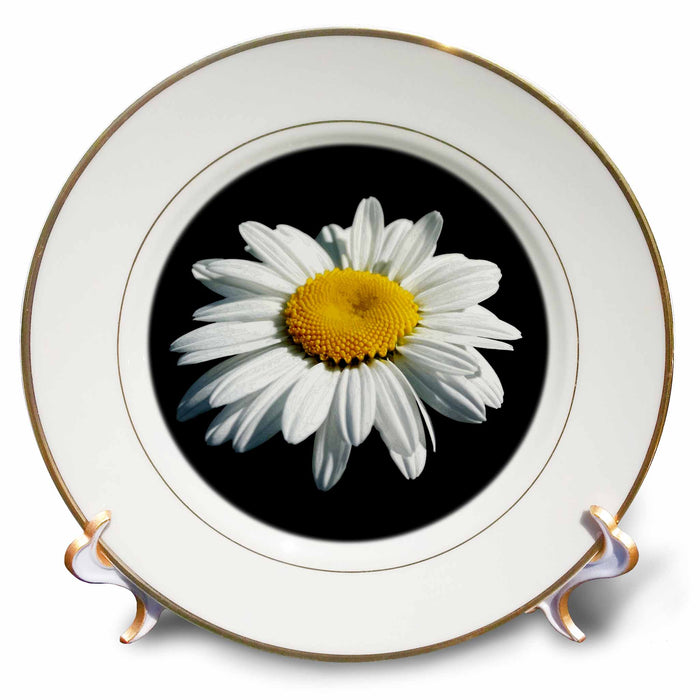 image of 8 inch Porcelain Plate