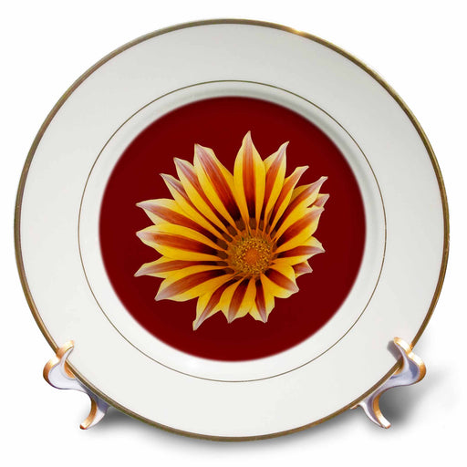 image of 8 inch Porcelain Plate