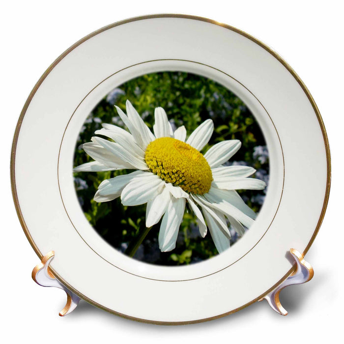 image of 8 inch Porcelain Plate