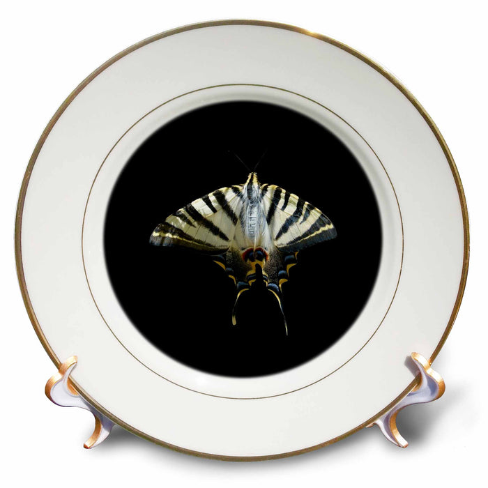 image of 8 inch Porcelain Plate