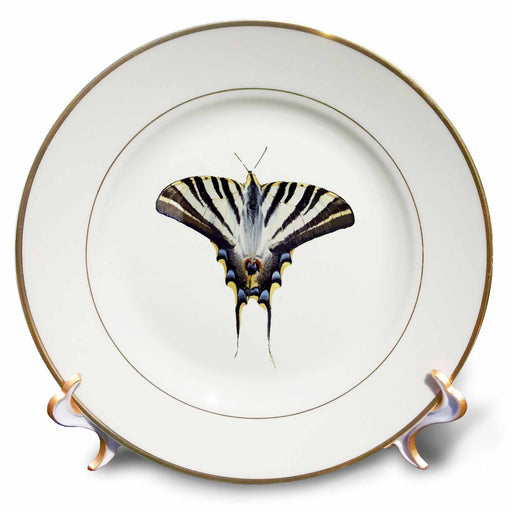 image of 8 inch Porcelain Plate