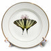 image of 8 inch Porcelain Plate