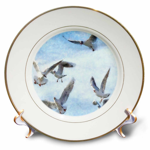 image of 8 inch Porcelain Plate