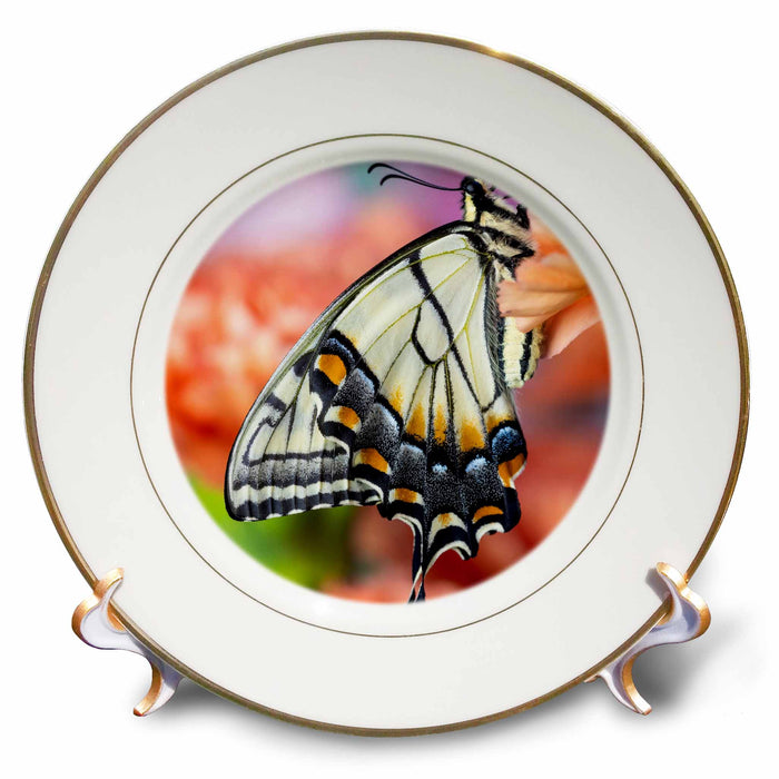 image of 8 inch Porcelain Plate