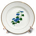 image of 8 inch Porcelain Plate