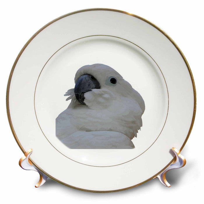 image of 8 inch Porcelain Plate