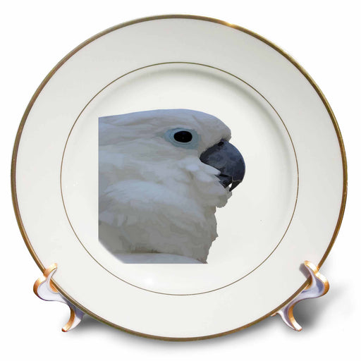 image of 8 inch Porcelain Plate