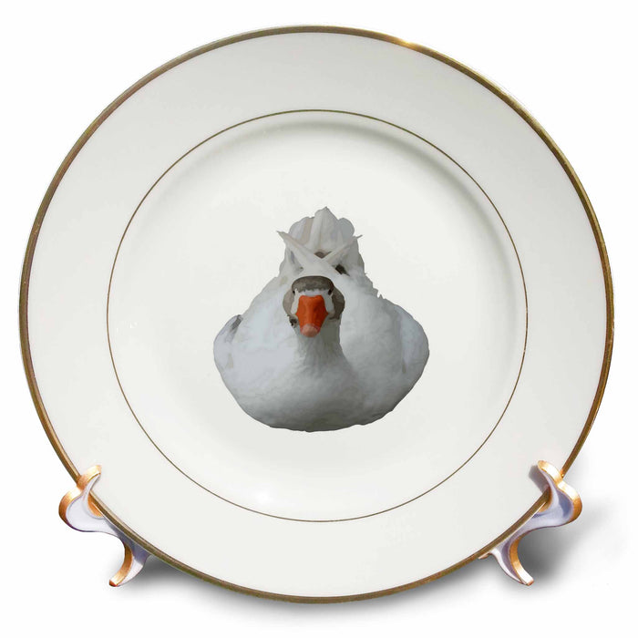 image of 8 inch Porcelain Plate